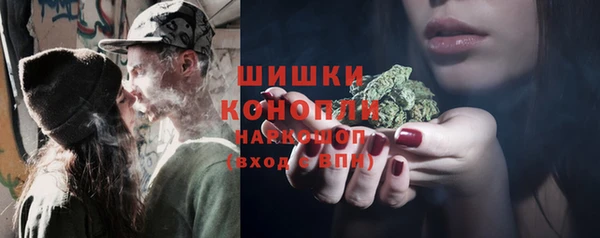 apvp Аркадак