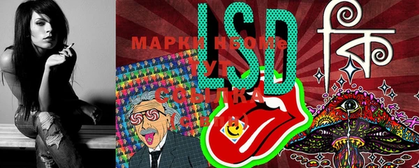apvp Аркадак